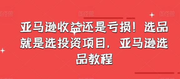 亚马逊收益还是亏损！选品就是选投资项目，亚马逊选品教程-禾谷轻创网