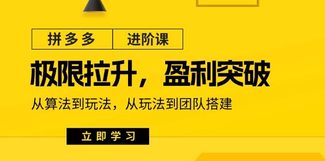 拼多多·进阶课：极限拉升/盈利突破：从算法到玩法 从玩法到团队搭建-18节-禾谷轻创网
