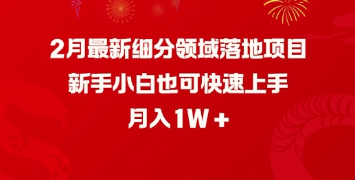 2月最新细分领域落地项目，新手小白也可快速上手，月入1W-禾谷轻创网
