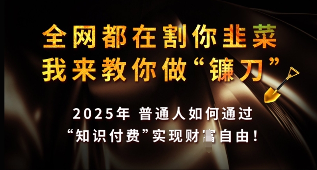 全网都在割你韭菜，我来教你做镰刀，2025年普通人如何通过 知识付费 实现财F自由【揭秘】-禾谷轻创网
