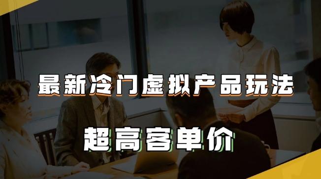 最新冷门虚拟产品玩法，超高客单价，月入2-3万＋【揭秘】-禾谷轻创网