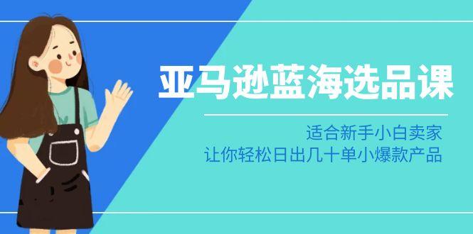 亚马逊-蓝海选品课：适合新手小白卖家，让你轻松日出几十单小爆款产品-禾谷轻创网
