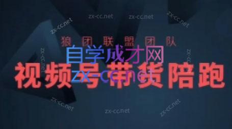 狼团联盟·2024视频号带货-禾谷轻创网