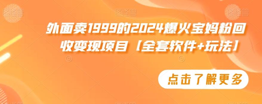 外面卖1999的2024爆火宝妈粉回收变现项目【全套软件+玩法】【揭秘】-禾谷轻创网