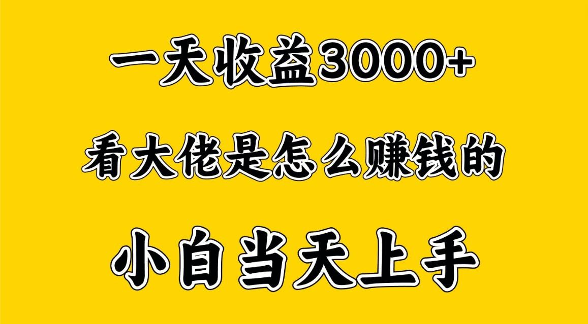 一天赚3000多，大佬是这样赚到钱的，小白当天上手，穷人翻身项目-禾谷轻创网