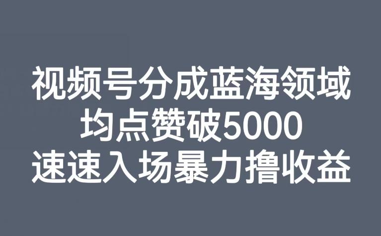 视频号分成蓝海领域，均点赞破5000，速速入场暴力撸收益-禾谷轻创网