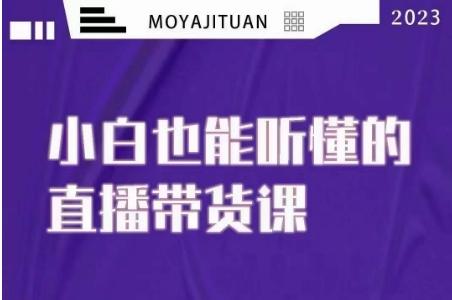 大威本威·能听懂的直播带货课，小白也能听懂，20节完整-禾谷轻创网