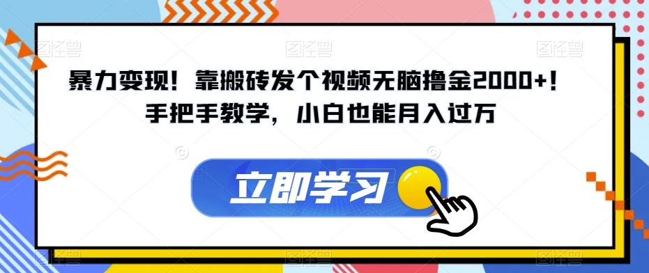 暴力变现！靠搬砖发个视频无脑撸金2000+！手把手教学，小白也能月入过万【揭秘】-禾谷轻创网