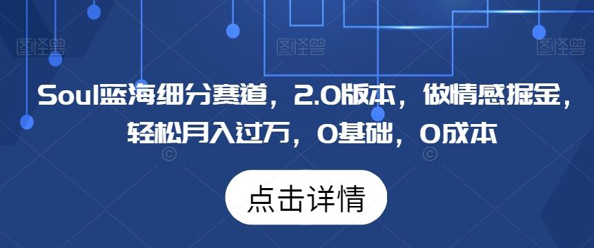 Soul蓝海细分赛道，2.0版本，做情感掘金，轻松月入过万，0基础，0成本-禾谷轻创网