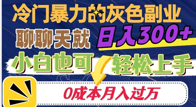 冷门暴利的副业项目，聊聊天就能日入300+，0成本月入过万【揭秘】-禾谷轻创网