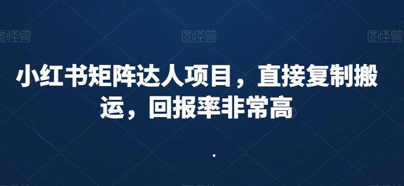 小红书矩阵达人项目，直接复制搬运，回报率非常高-禾谷轻创网