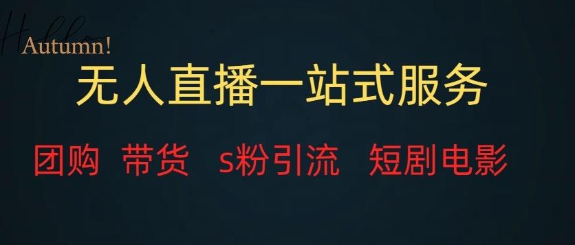 无人直播一站式服务（教程以及变现方式）-禾谷轻创网