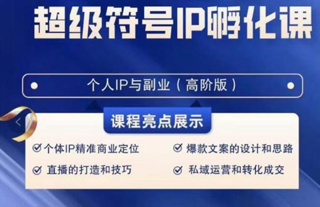 超级符号IP孵化高阶课，建立流量思维底层逻辑，打造属于自己IP（51节课）-禾谷轻创网