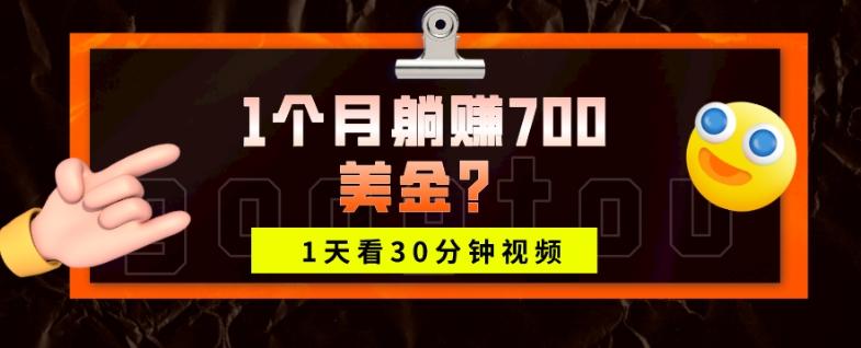 1天看30分钟视频，1个月躺赚700美金？-禾谷轻创网