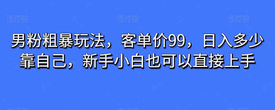 男粉粗暴玩法，客单价99，日入多少靠自己，新手小白也可以直接上手-禾谷轻创网