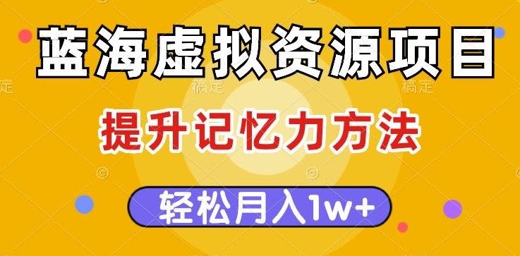 蓝海虚拟资源项目，提升记忆力方法，多种变现方式，轻松月入1w+【揭秘】-禾谷轻创网