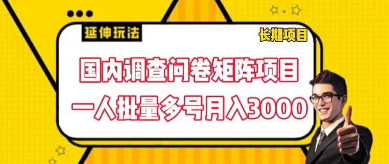 国内调查问卷矩阵项目，一人批量多号月入3000【揭秘】-禾谷轻创网