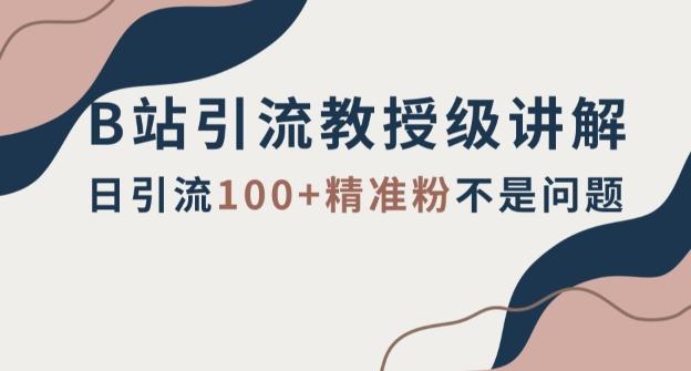 B站引流教授级讲解，细节满满，日引流100+精准粉不是问题【揭秘】-禾谷轻创网