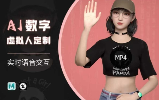Ai数字人虚拟(智能体)实时语音交互特训营，​自行定制超写实角色AI数字人交互技术-禾谷轻创网