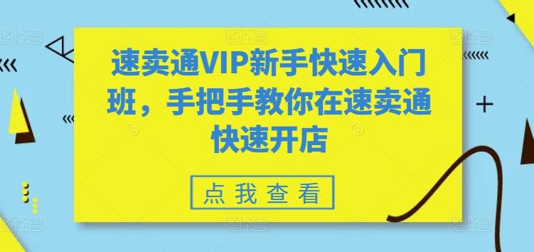 速卖通VIP新手快速入门班，手把手教你在速卖通快速开店-禾谷轻创网