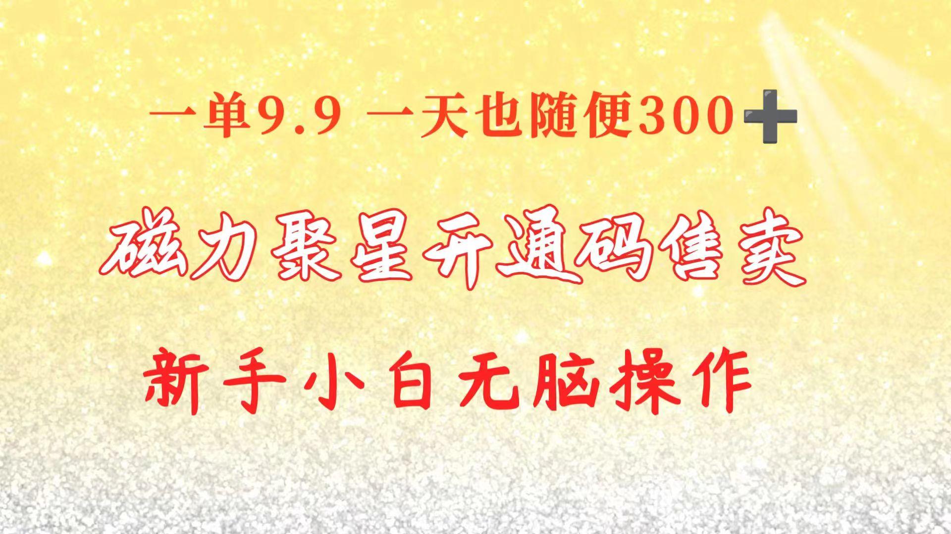 快手磁力聚星码信息差 售卖  一单卖9.9  一天也轻松300+ 新手小白无脑操作-禾谷轻创网