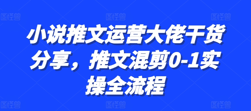 小说推文运营大佬干货分享，推文混剪0-1实操全流程-禾谷轻创网