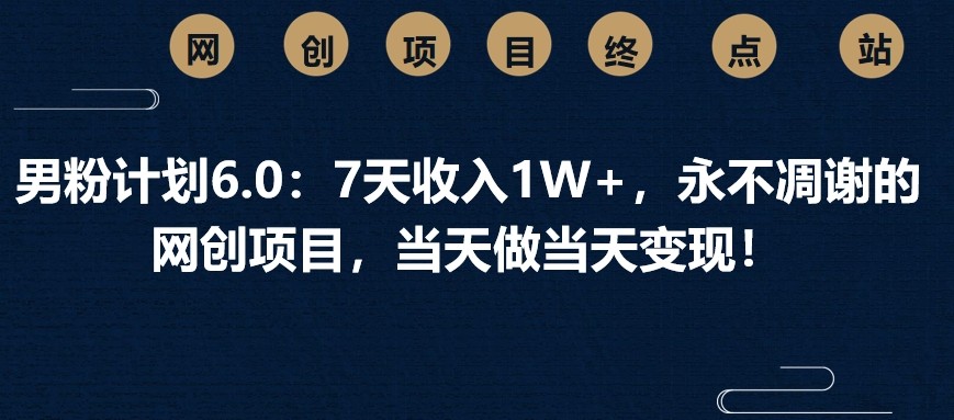 男粉计划6.0:7天收入1W+,永不凋谢的网创项目,当天做当天变现!-禾谷轻创网