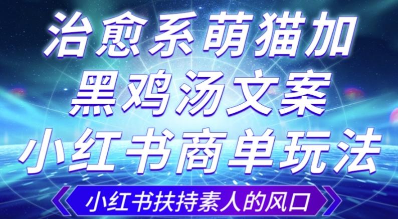 治愈系萌猫加+黑鸡汤文案，小红书商单玩法，3~10天涨到1000粉，一单200左右-禾谷轻创网
