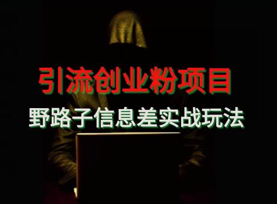 【引流创业粉】野路子信息差玩法实战教学-禾谷轻创网