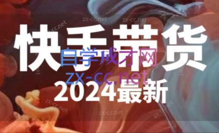 快手带货(2024最新)-禾谷轻创网