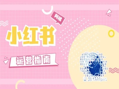 小红书运营指南，没有套路，全是经验-禾谷轻创网