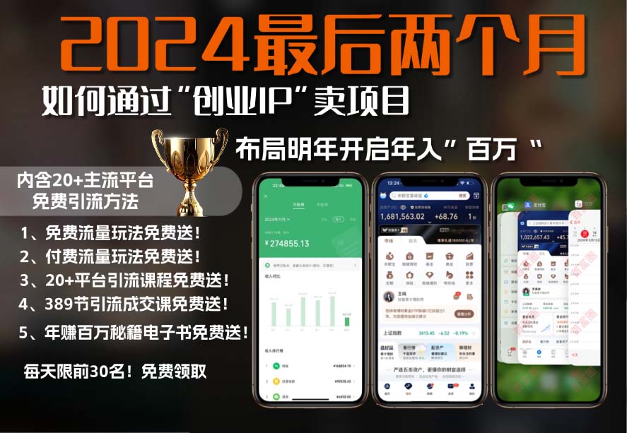 2024最后两个月如何通过”创业IP“卖项目年入”百万“,创业IP+最强引流...-禾谷轻创网