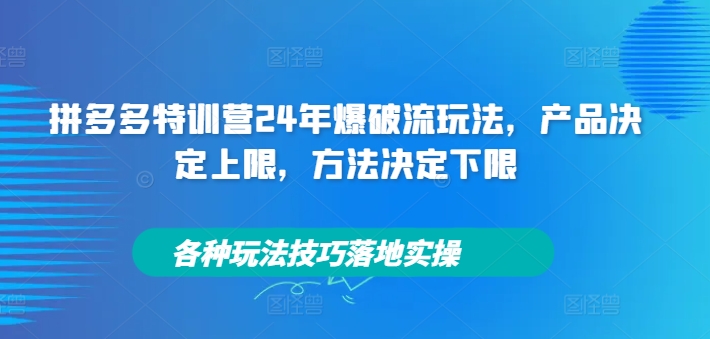 拼多多特训营24年爆破流玩法，产品决定上限，方法决定下限，各种玩法技巧落地实操-禾谷轻创网