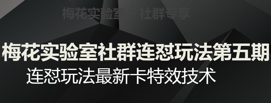 梅花实验室社群连怼玩法第五期，视频号连怼玩法最新卡特效技术-禾谷轻创网