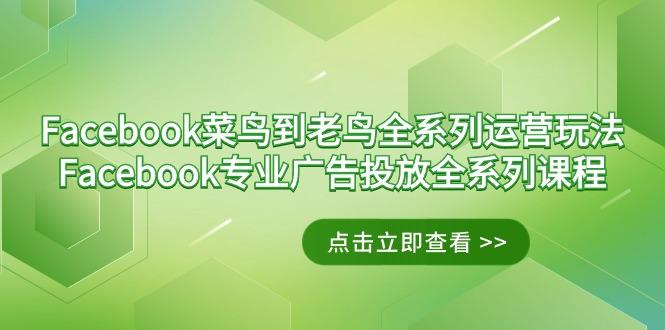 Facebook-菜鸟到老鸟全系列运营玩法+Facebook-专业广告投放全系列课程-禾谷轻创网