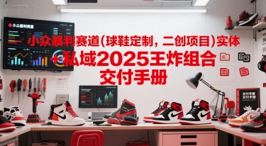 小众暴利赛道(球鞋定制，二创项目)实体+私域2025王炸组合  交付手册-禾谷轻创网