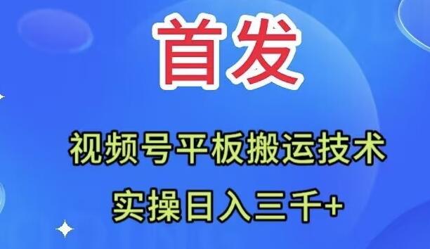 全网首发：视频号平板搬运技术，实操日入三千＋-禾谷轻创网