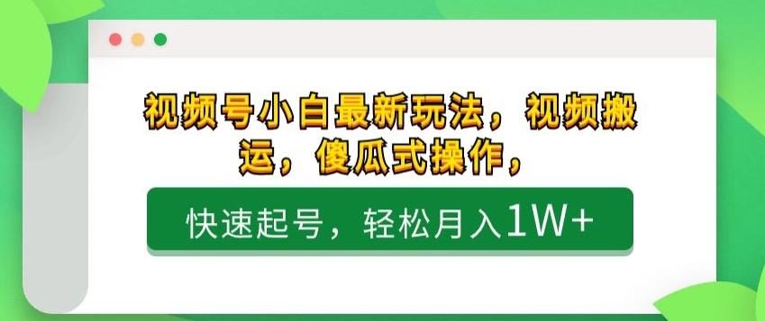 视频号小白最新玩法，视频搬运，傻瓜式操作，快速起号，轻松月入1W+-禾谷轻创网