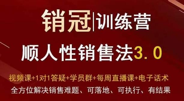 爆款！销冠训练营3.0之顺人性销售法，全方位解决销售难题、可落地、可执行、有结果-禾谷轻创网
