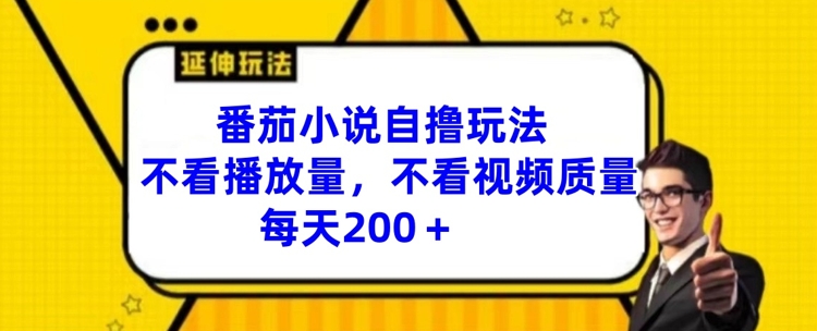 番茄小说自撸玩法，不看播放量，不看视频质量，每天200+【揭秘】-禾谷轻创网