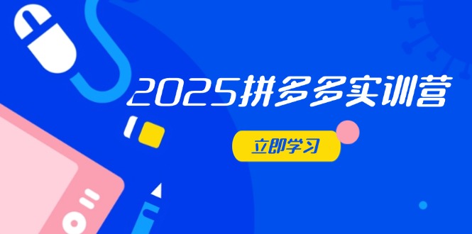 2025拼多多实训营：深度剖析运营关键，助力电商人快速提升-禾谷轻创网