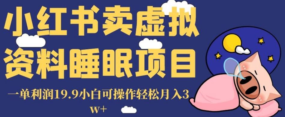 小红书卖虚拟资料睡眠项目，一单利润19.9小白可操作轻松月入3w+【揭秘】-禾谷轻创网