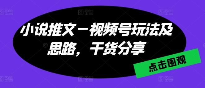小说推文—视频号玩法及思路，干货分享-禾谷轻创网