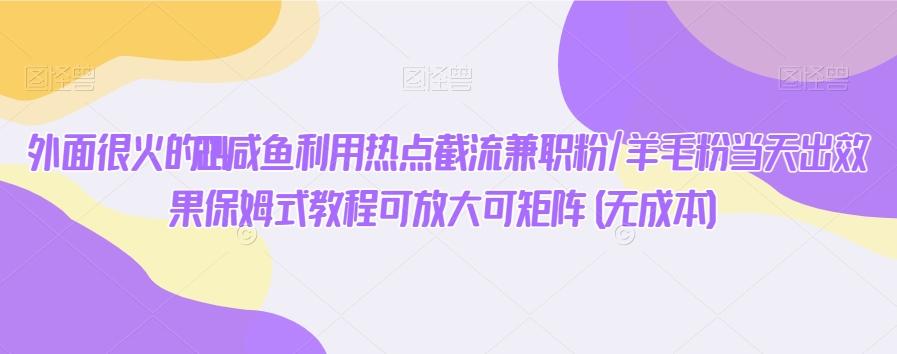 外面很火的2024咸鱼利用热点截流兼职粉/羊毛粉当天出效果保姆式教程可放大可矩阵(无成本)-禾谷轻创网