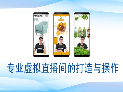 个人虚拟直播间的搭建与操作，专业虚拟直播间的打造与操作-禾谷轻创网