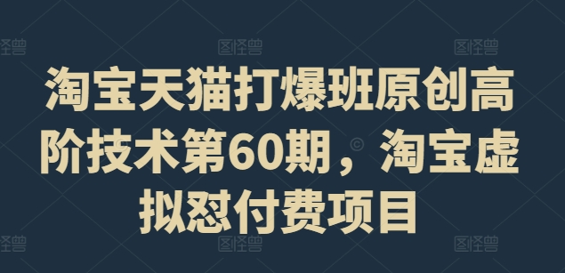 淘宝天猫打爆班原创高阶技术第60期，淘宝虚拟怼付费项目-禾谷轻创网
