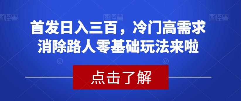 首发日入三百，冷门高需求消除路人零基础玩法来啦【揭秘】-禾谷轻创网