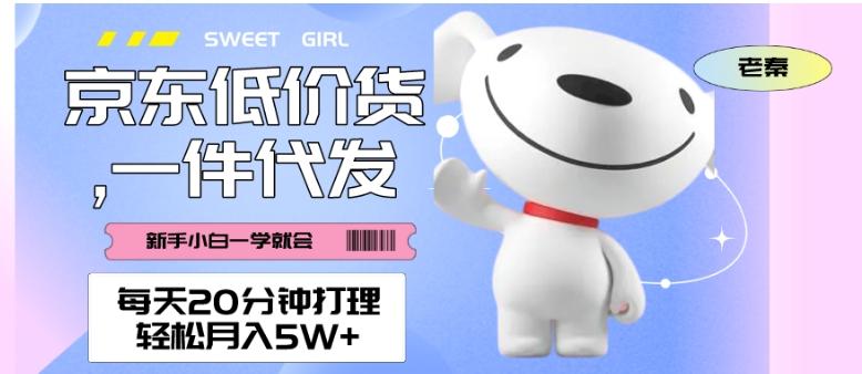 每天20分钟打理京东低价货，一件代发-轻松月入5W＋-禾谷轻创网