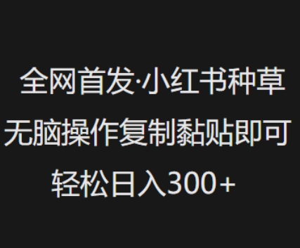 全网首发，小红书种草无脑操作，复制黏贴即可，轻松日入3张-禾谷轻创网
