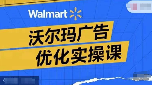 沃尔玛广告优化实操课，广告报告实操讲解，广告如何提高转化和ROAS等-禾谷轻创网